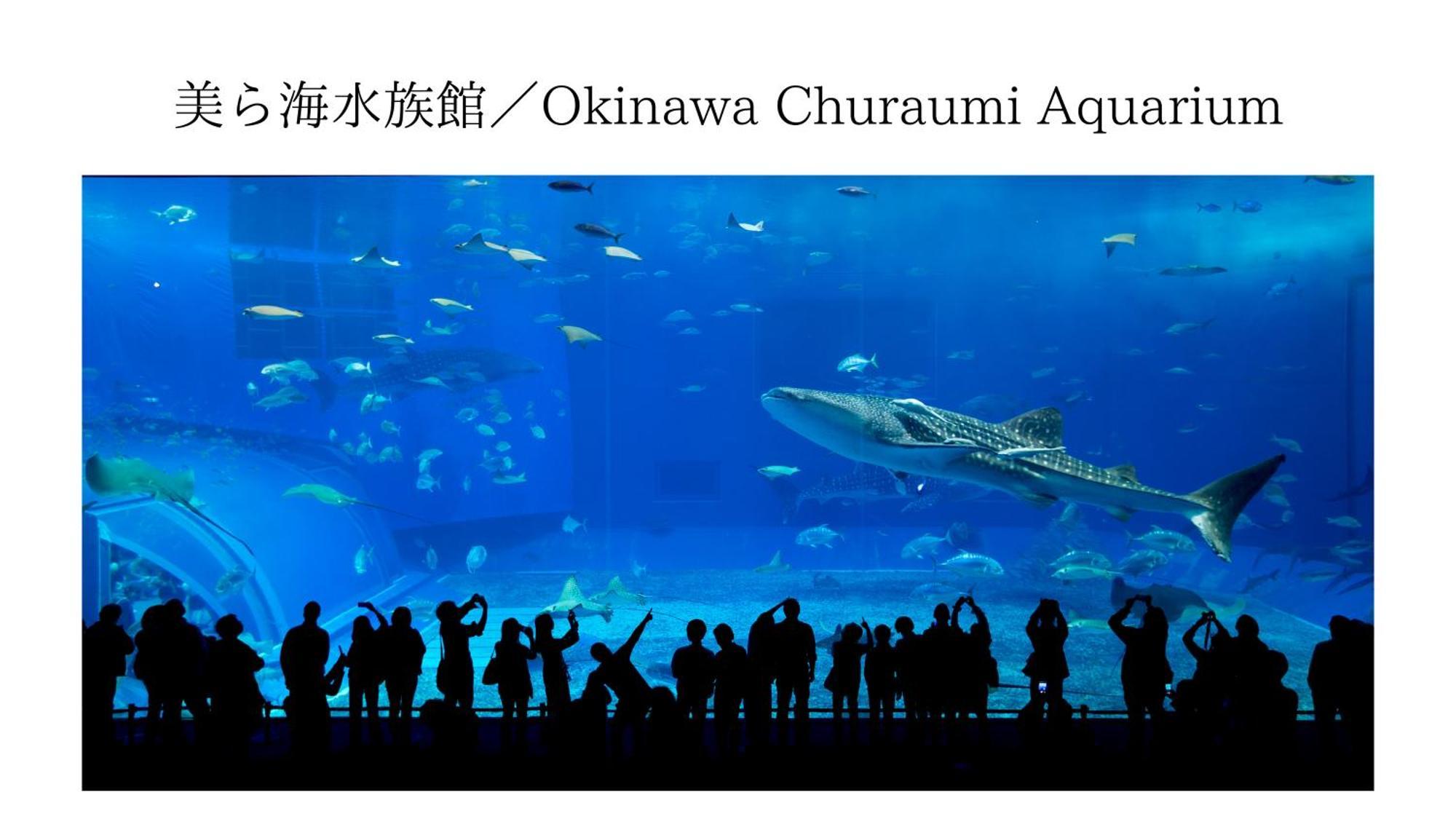 Aqua Shallows 恩納村 エクステリア 写真